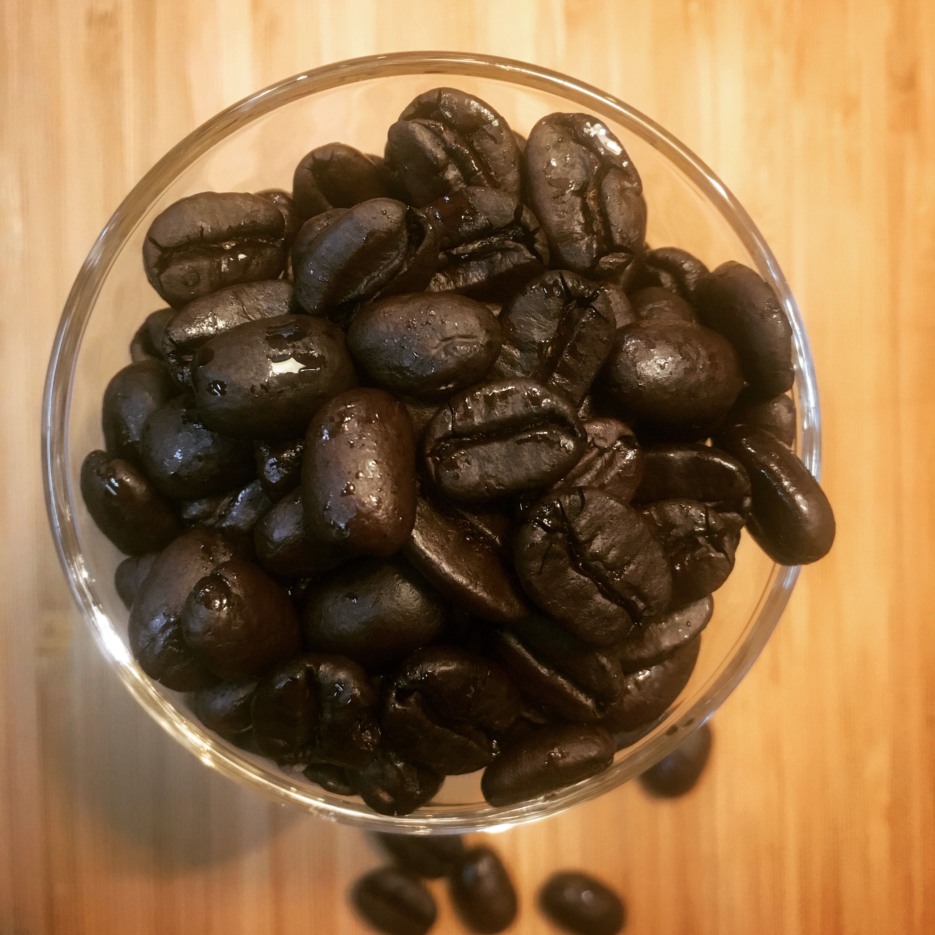クマロマで幻のコーヒー豆が飲める！ジャコウネコのコーヒーとも 