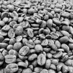 ごつごつしたコーヒー豆はやっぱり不味いのか？