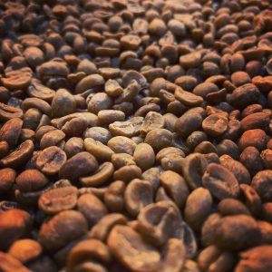 【伝説】となったコーヒー生産地とは…！？